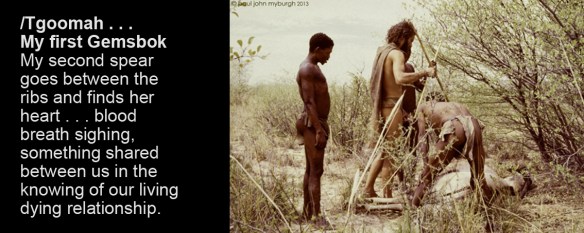Tgoomah-.-.-.-My-first-Gemsbok