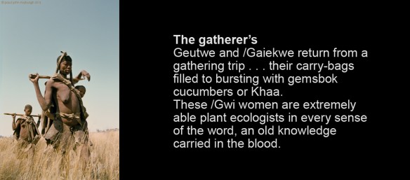 The-gatherer's